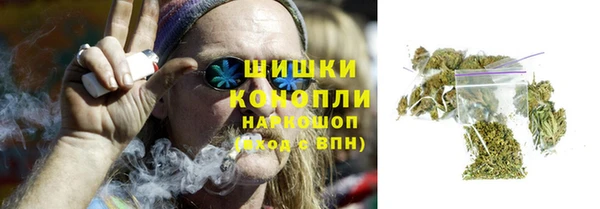 spice Пересвет