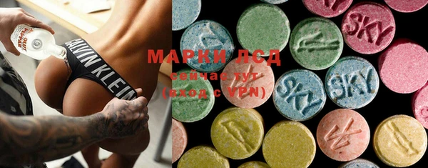 spice Пересвет