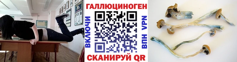 Псилоцибиновые грибы прущие грибы  blacksprut ССЫЛКА  Сальск 