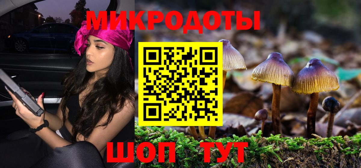 Сальск  купить закладку  Вход с VPN  Галлюциногенные грибы GOLDEN TEACHER  Псилоцибиновые грибы Psilocybine cubensis 