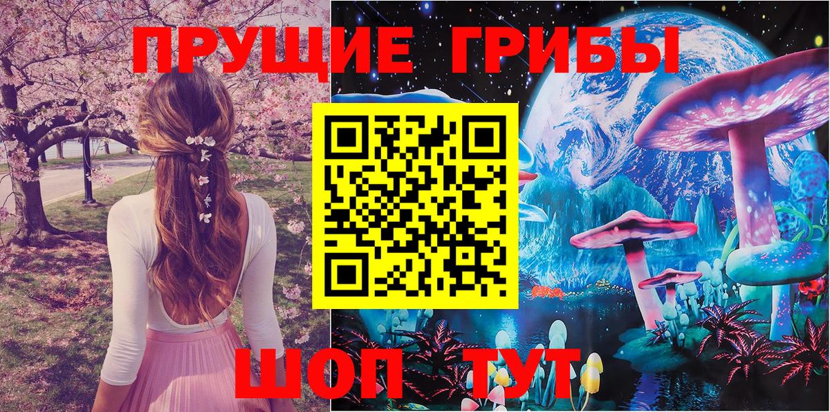 Галлюциногенные грибы Cubensis Сальск